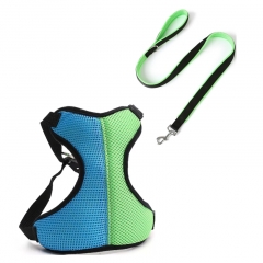 Fashion Soft Padded Contrasting Colors Air Mesh Breathable Chest Custom Dog Leash And Harness Set