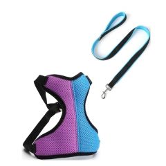 Fashion Soft Padded Contrasting Colors Air Mesh Breathable Chest Custom Dog Leash And Harness Set