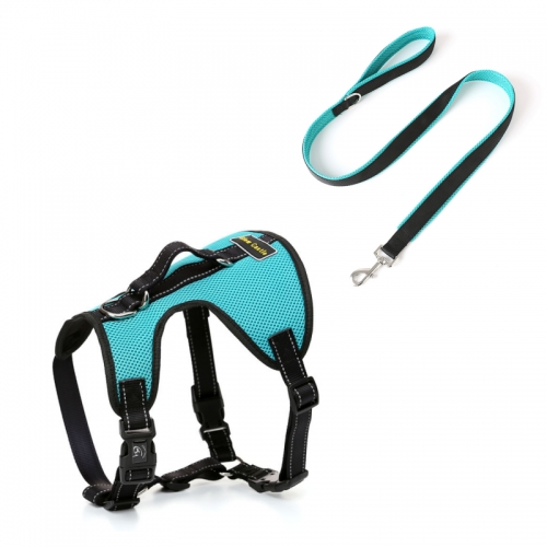 Soft Padded Air Mesh Nylon Fashion Breathable Walking Custom Dog Leash And Harness Set