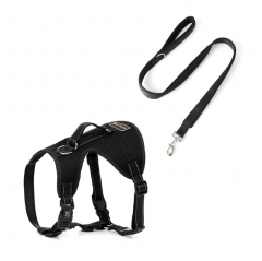 Soft Padded Air Mesh Nylon Fashion Breathable Walking Custom Dog Leash And Harness Set