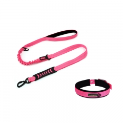 Dog Thick Neoprene Padded Designer Training Reflective Nylon Heavy Duty Soft Collars And Leash Set