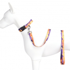 Halloween New Custom Puckish Dog Collars And Leash Colorful Nylon Designer Pet Pattern Collar Leash Set