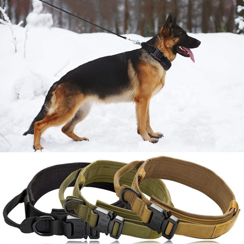 Training Metal Buckle Tactical Military Dog Collar Nylon Heavy Medium Large With Patch Thick Control Handle Dogs Collars