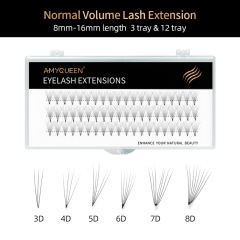 Normal Volume Lash Extension
