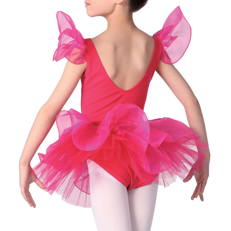 Ballerina Leotard and Tutu