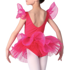 Ballerina Leotard and Tutu