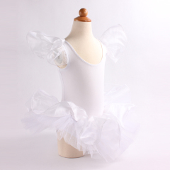 Ballerina Leotard and Tutu