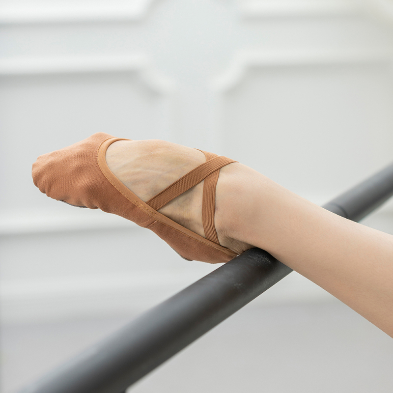 Canvas Ballet Shoes