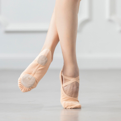 Stretchy Canvas Ballet Dance Shoes