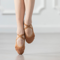 Canvas Ballet Shoes
