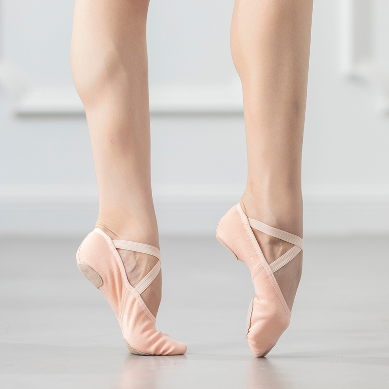 Canvas Ballet Shoes