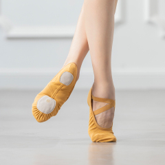 Ballerina Dance Shoes