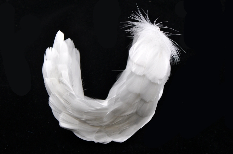 Swan Lake Headpiece