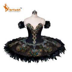 Swan Lake Costume Women