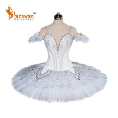 Silver Ballet Costume