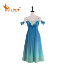 Ballet Dress Costume