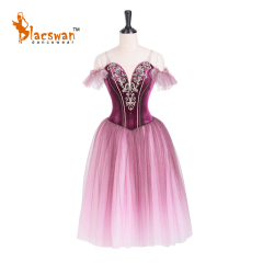 Ombre Romantic Style Tutu