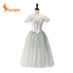 Silver Romantic Ballet Costume