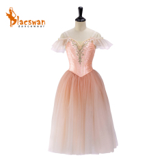 Fairy Ballet Dance Dress