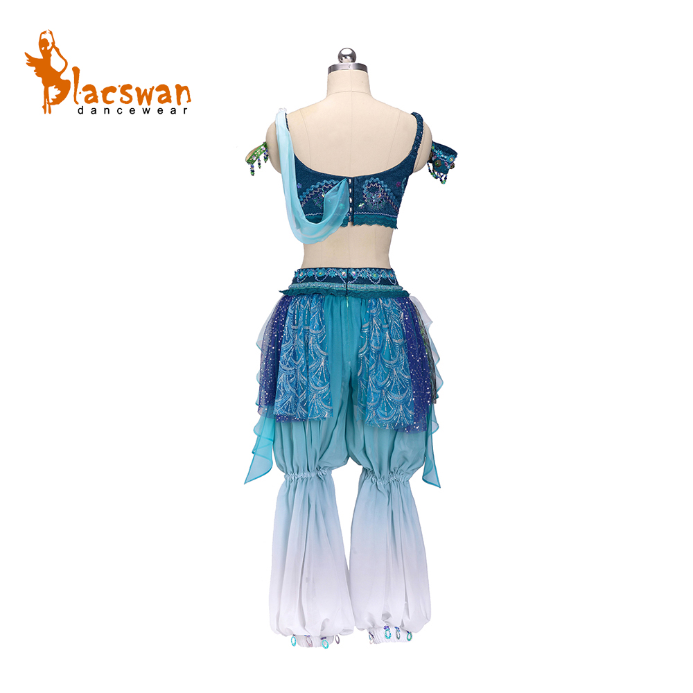 Ombre Odalisque Ballet Costume