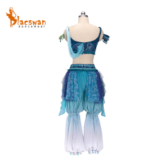Ombre Odalisque Ballet Costume