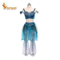 Ombre Odalisque Ballet Costume