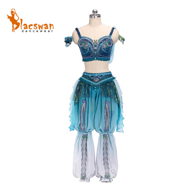 Ombre Odalisque Ballet Costume