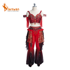 Ombre Gamzatti Variation Costume