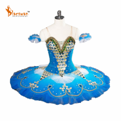Princess Florine Costume