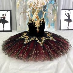 Don Quixote Kitri Costume