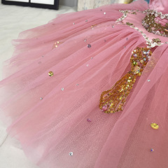 Sugar Plum Fairy Professional Costume