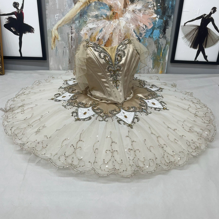 Cinderella Dance Ballet Tutu