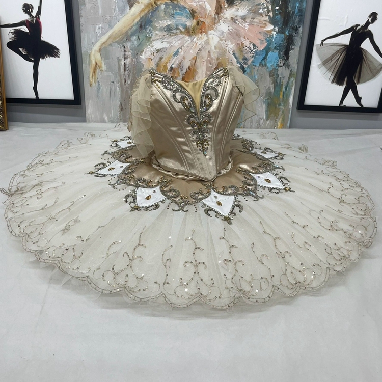 Cinderella Dance Ballet Tutu