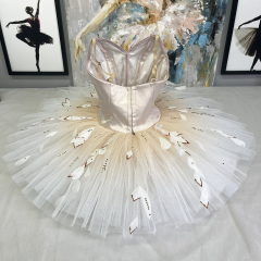 Fairy Ballerina Costume