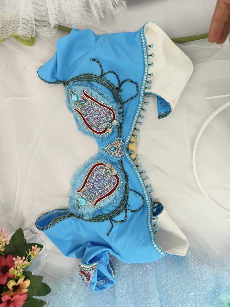 Arabian Ballet Costume