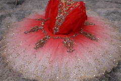 Kitri Tutu