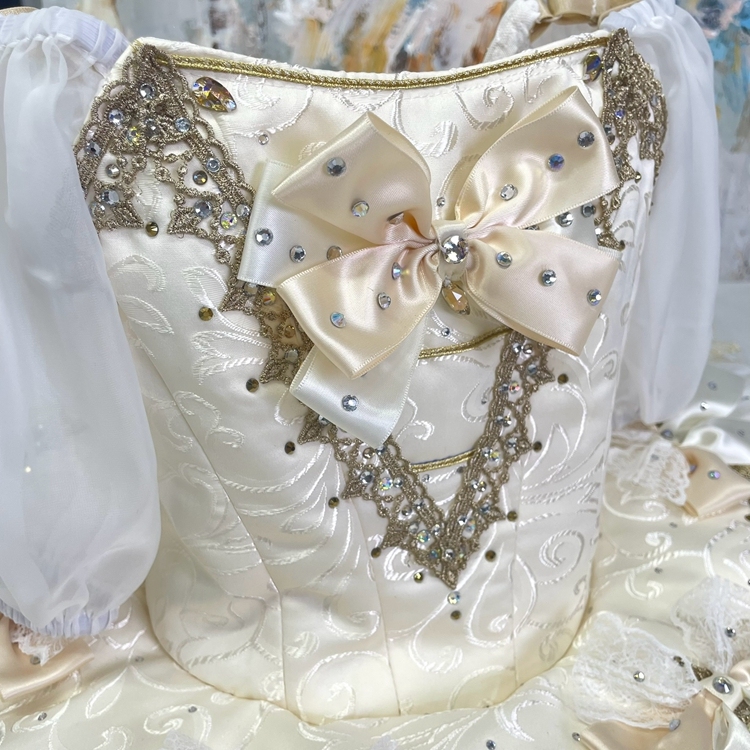 Princess Aurora Costume Adults