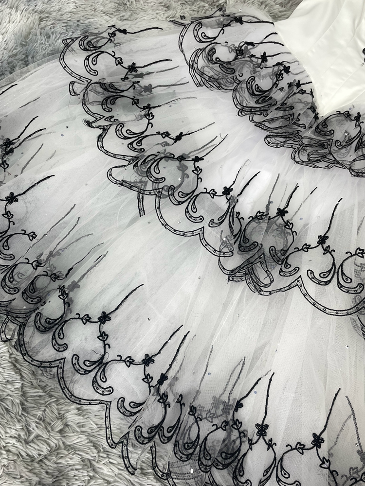 Don Quixote Kitri Ballet Costume