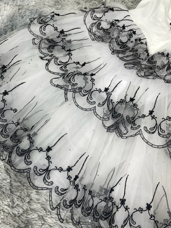 Don Quixote Kitri Ballet Costume