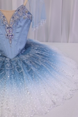 Princess Florine Costume