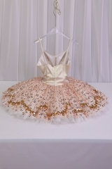 Sugar Plum Fairy Costume Costume