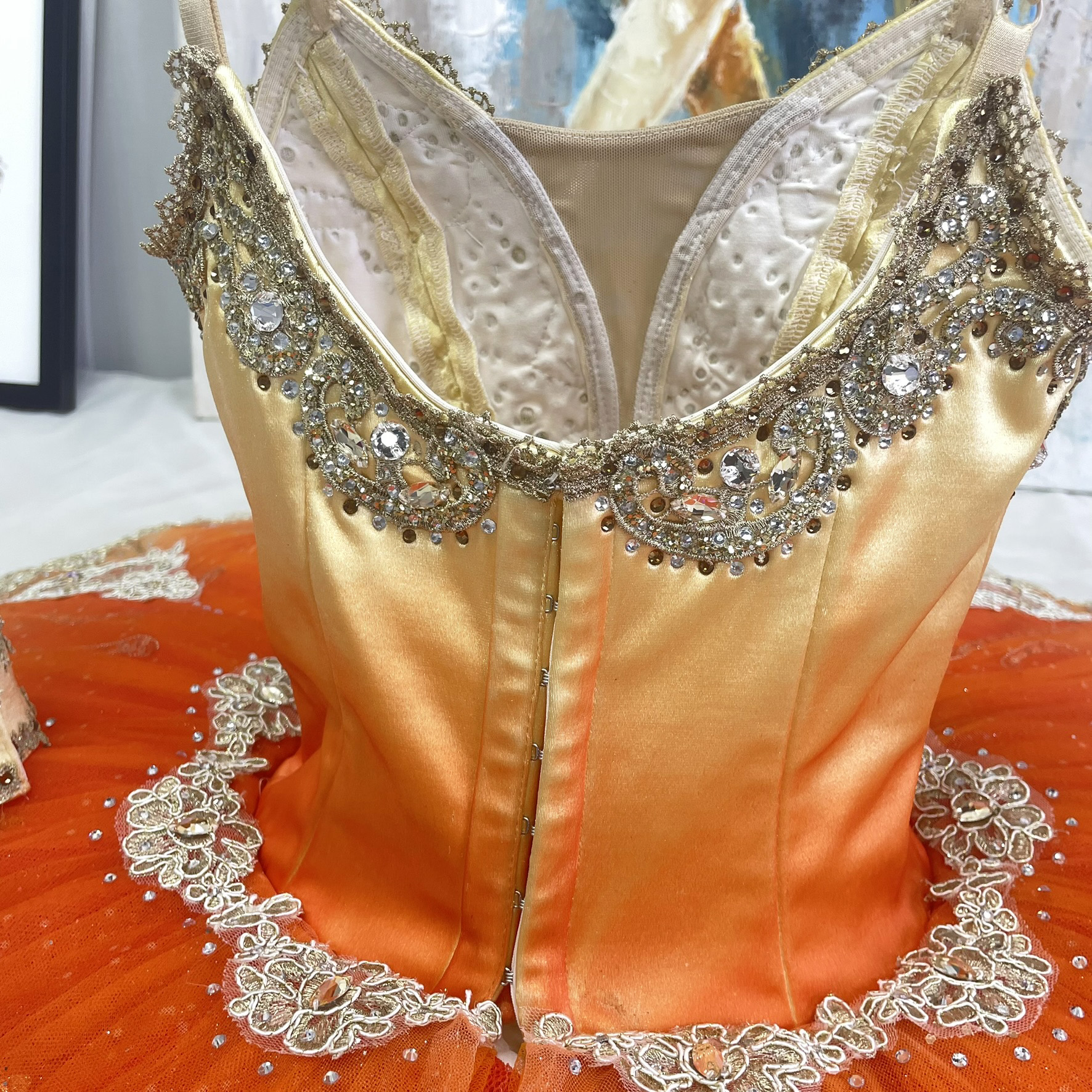 Ombre Adult Ballerina Costume
