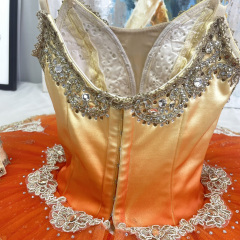 Ombre Adult Ballerina Costume