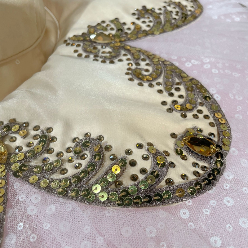 Sugar Plum Fairy Costume
