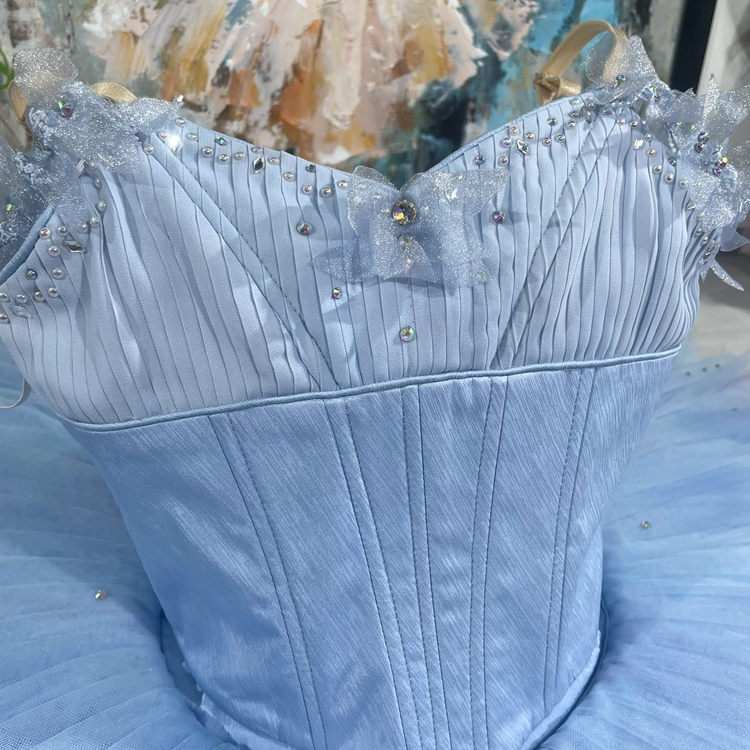 Cinderella Dance Tutu