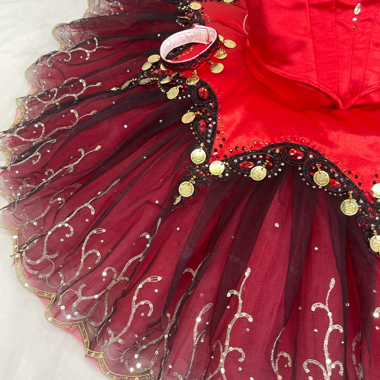 Don Quixote Dance Costume