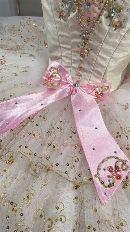 Sugar Plum Fairy Costume Ideas