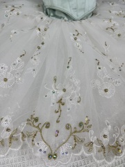 Sylvia Ballet Costume
