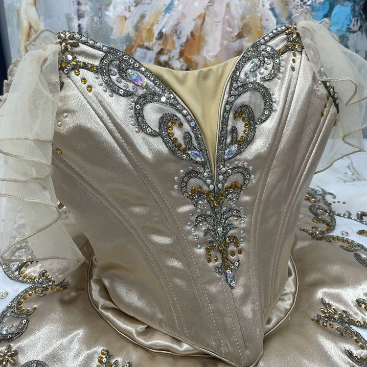 Cinderella Dance Ballet Tutu