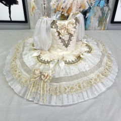 Princess Aurora Costume Adults
